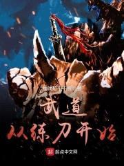 武道从练刀开始封面