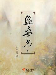 盛安书封面