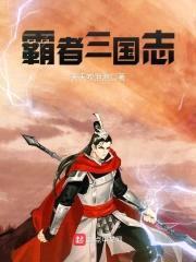 霸者三国志封面