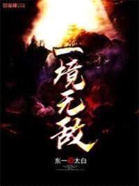 一境无敌封面