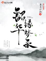韶华缘梦录封面
