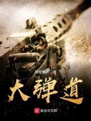 大弹道封面
