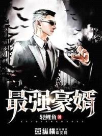 最强豪婿封面