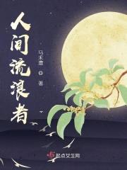 人间流浪者封面