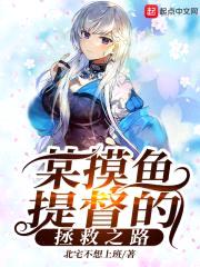 某摸鱼提督的拯救之路封面
