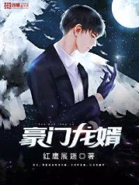豪门龙婿封面