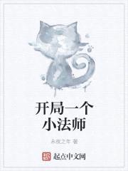 开局一个小法师封面