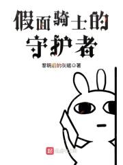假面骑士的守护者封面