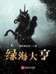 绿海大亨封面