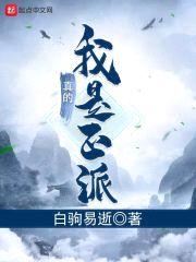 我真的是正派封面