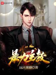 点金主教封面