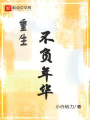重生不负年华封面