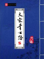 大宋青云路封面