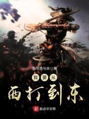 我要从西打到东封面