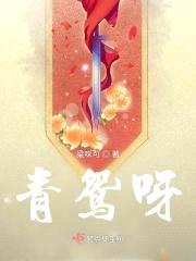 青鸳呀封面