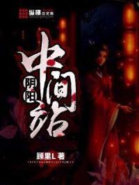 阴阳中间站封面