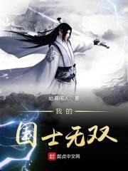 我的国士无双封面