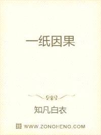 一纸因果封面