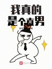 我真的是个直男封面