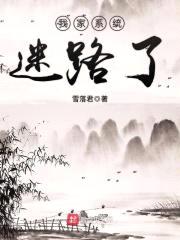 我家系统迷路了封面