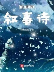 迷途的叙事诗封面