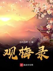 观梅录封面