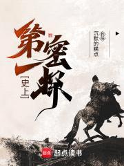 史上第一密探封面