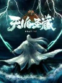 天循圣藏封面