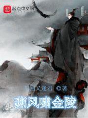 燕风啸金陵封面