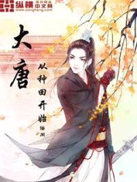 大唐从种田开始封面