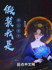 假装我是幕后黑手封面