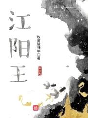 穿越从藩王开始封面