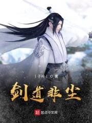 剑道非尘封面
