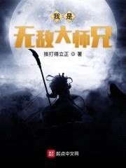 我是无敌大师兄封面
