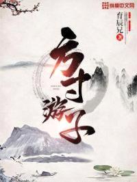 方寸游子封面