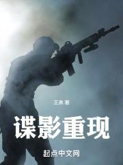谍影重现封面