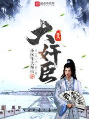 吾乃大jian臣封面