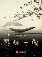 界外一阁封面