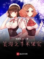 美漫之手术果实封面