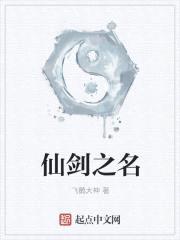 仙剑之名封面