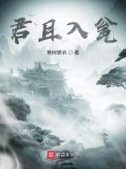 道友棋臭了封面