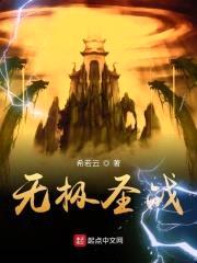 无极圣战封面
