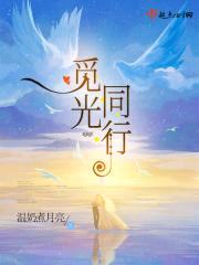 觅光同行封面