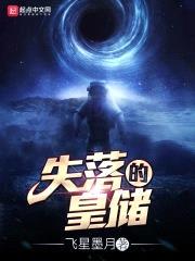 失落的皇储封面