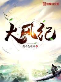 大风纪封面