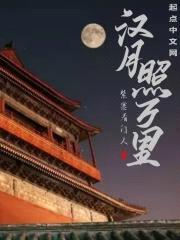 汉月照万里封面