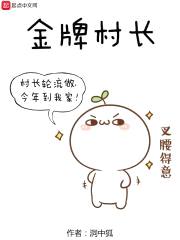 金牌村长封面