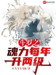 斗罗之魂力每年升两级封面