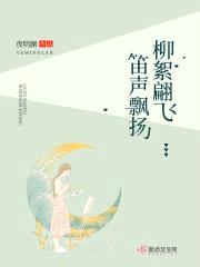 柳絮翩飞笛声飘扬封面