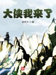 大侠我来了封面